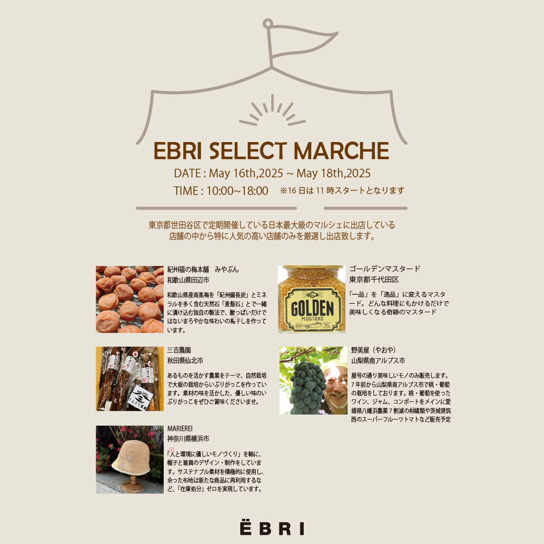 EBRI SELEST MARCHE