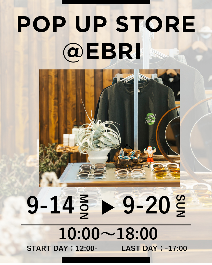 \\ pop up // ホームズアンドワトソン眼鏡店