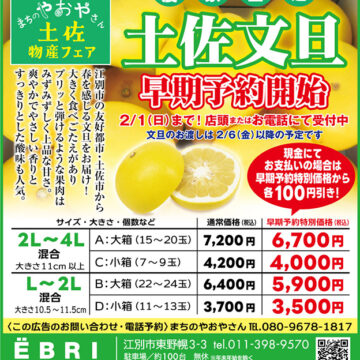 土佐文旦の予約受付を開始しました！